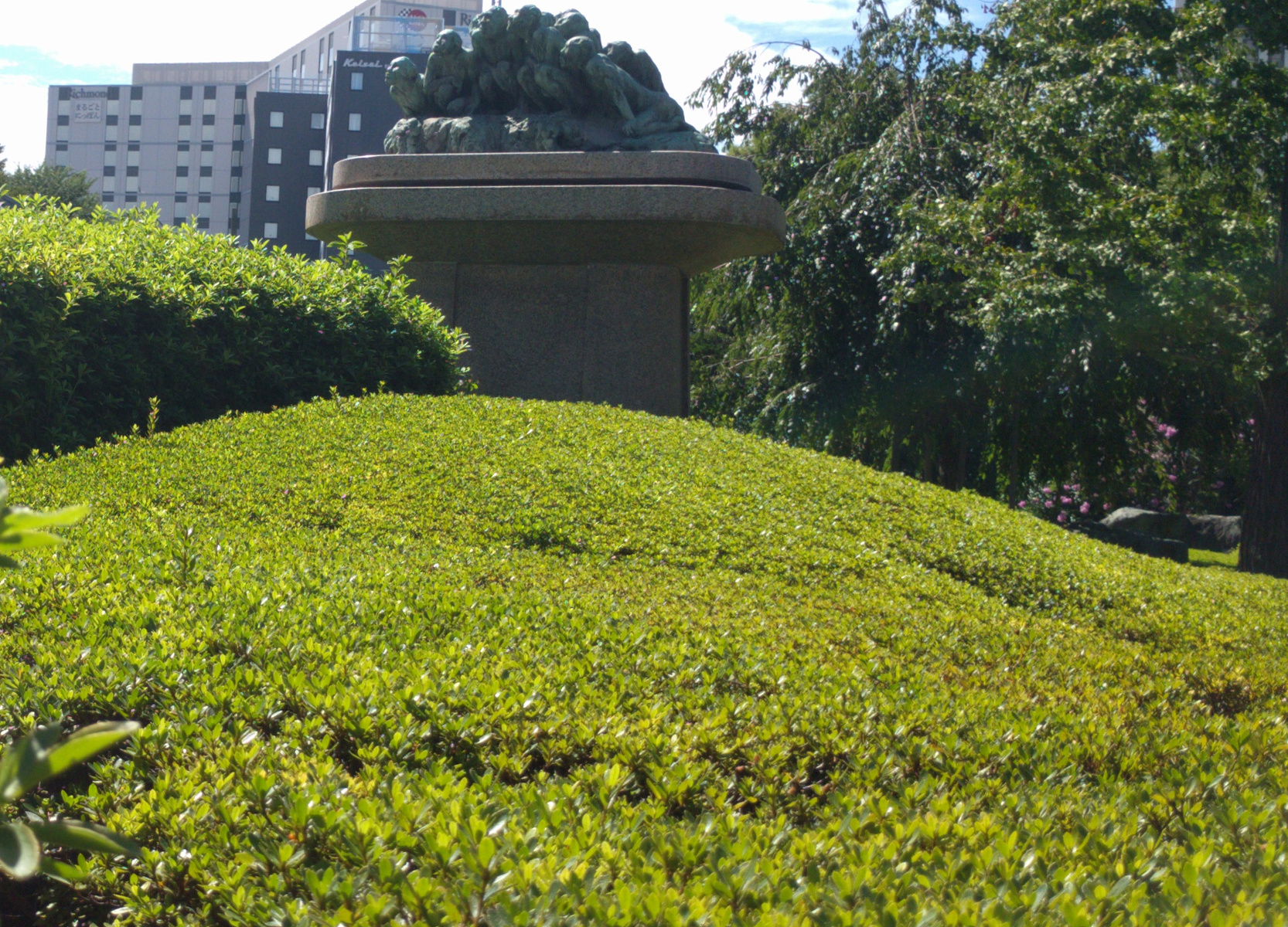 what looks like a grassy hill but is actually the top of a lovely shrubbery
